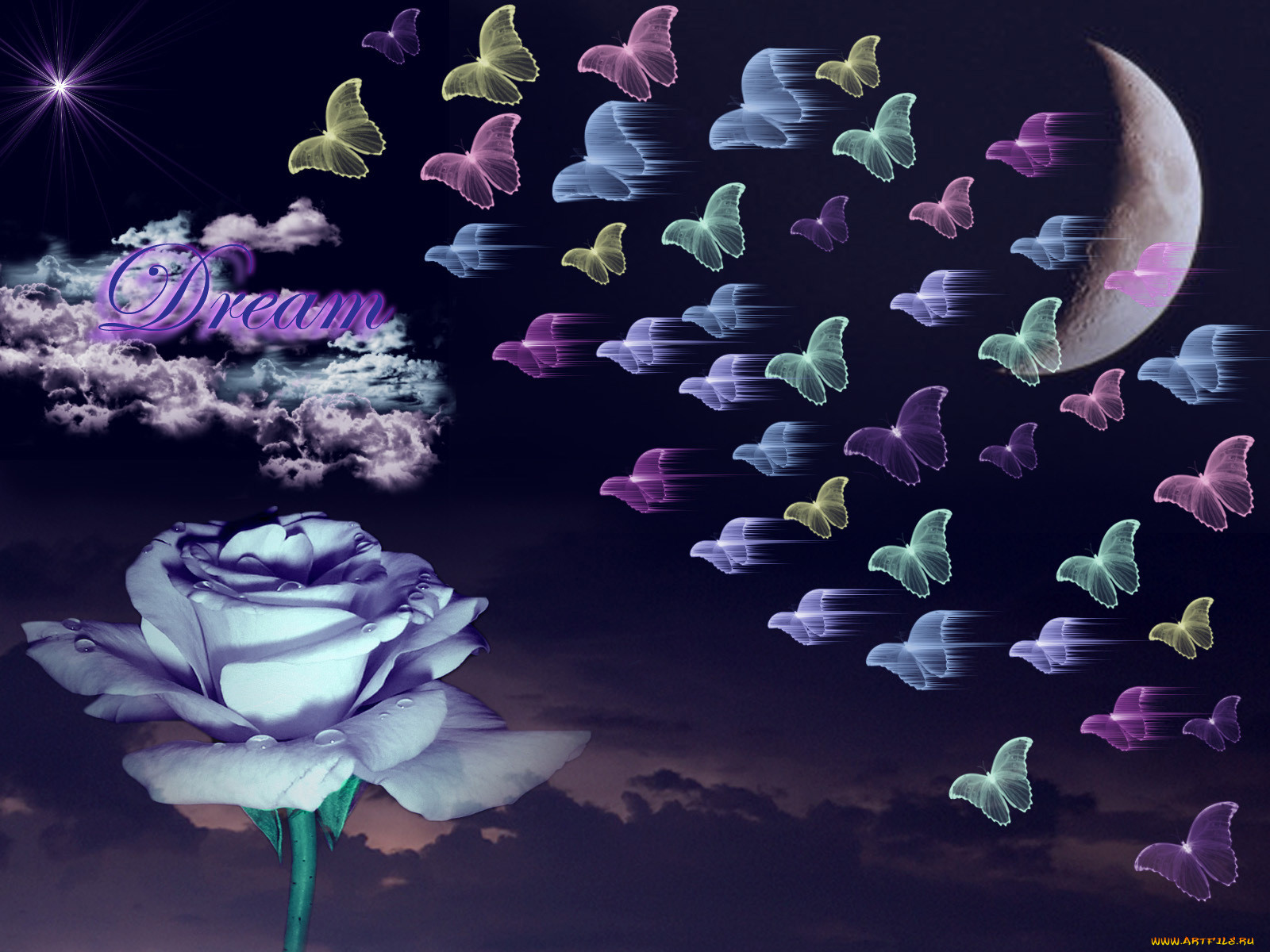 3, , flowers, , , , , 